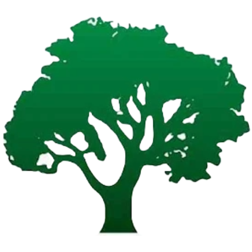 Site-logo-1